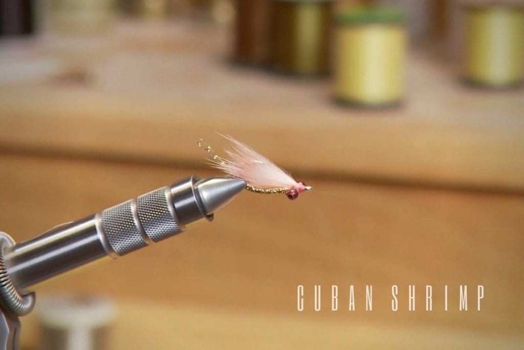 cuban shrimp