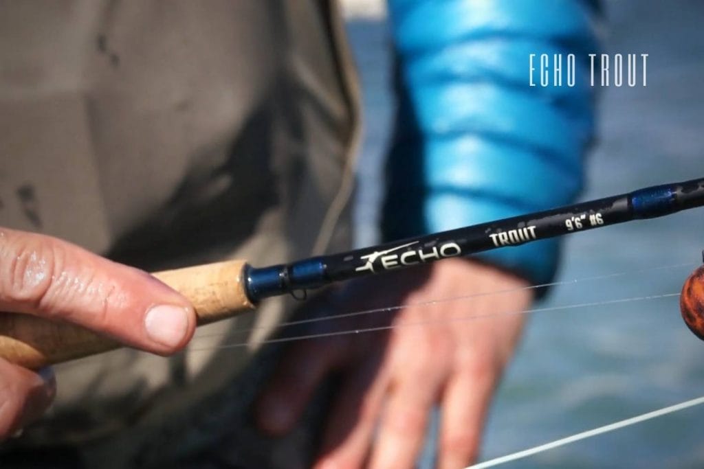echo trout