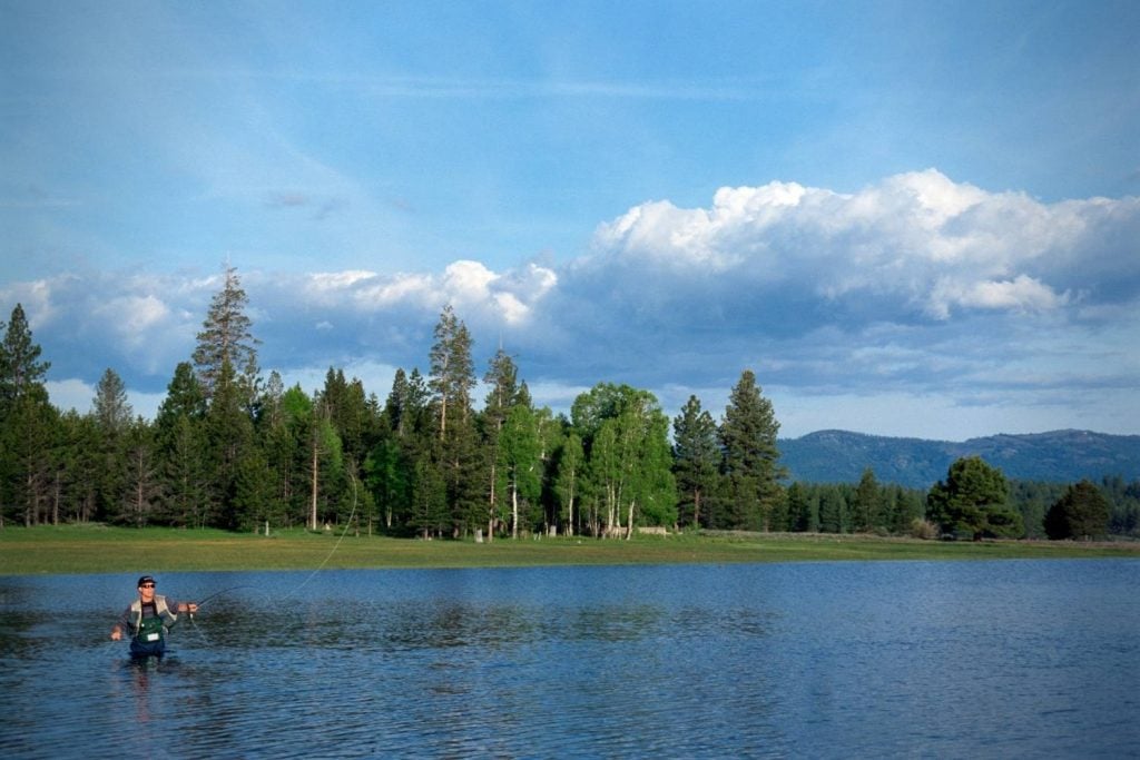 fly-lines-for-bass