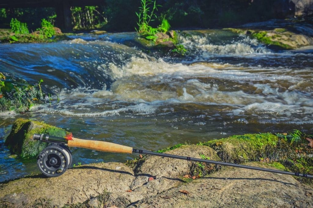 fly rod and fly reel