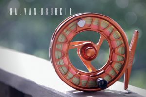 galvan brookie review
