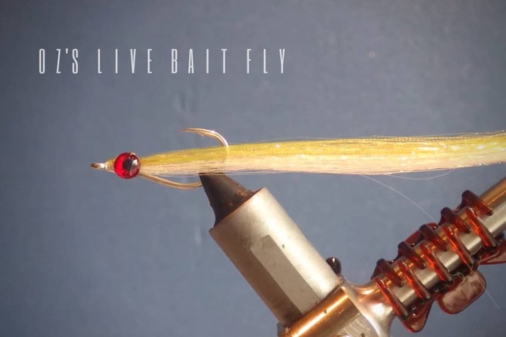 oz's live bait fly