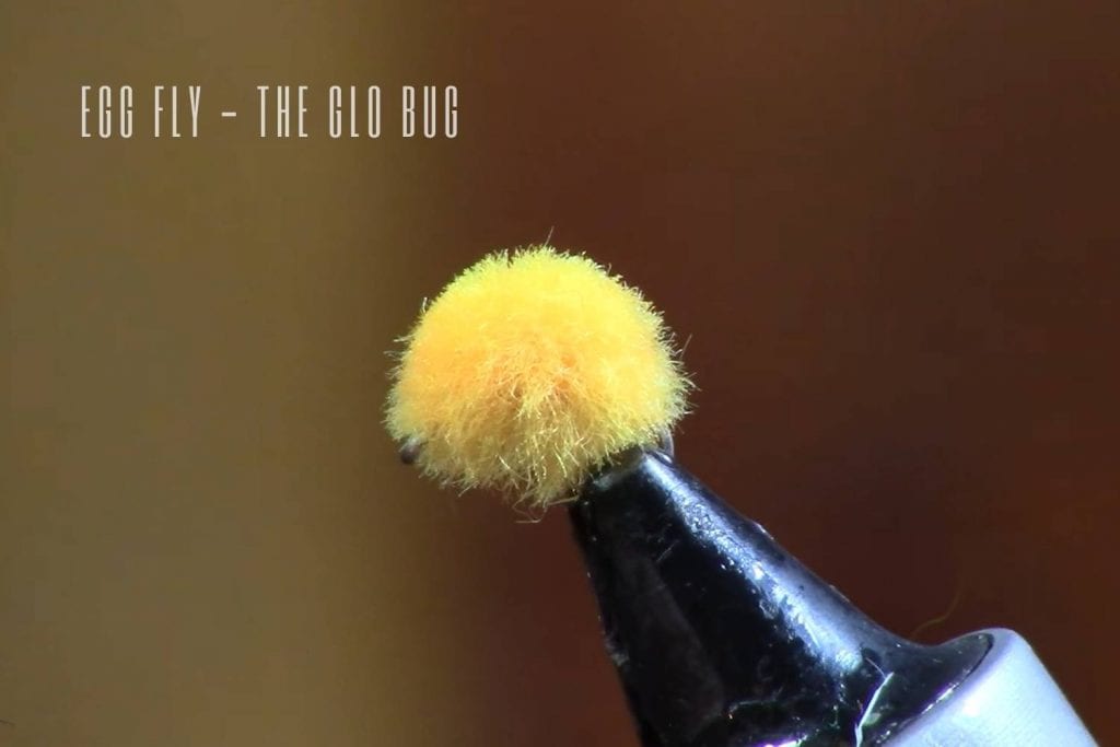 Egg Fly The Glo Bug