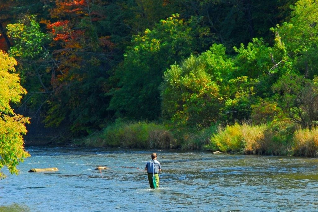 Free Salmon Fishing Tips