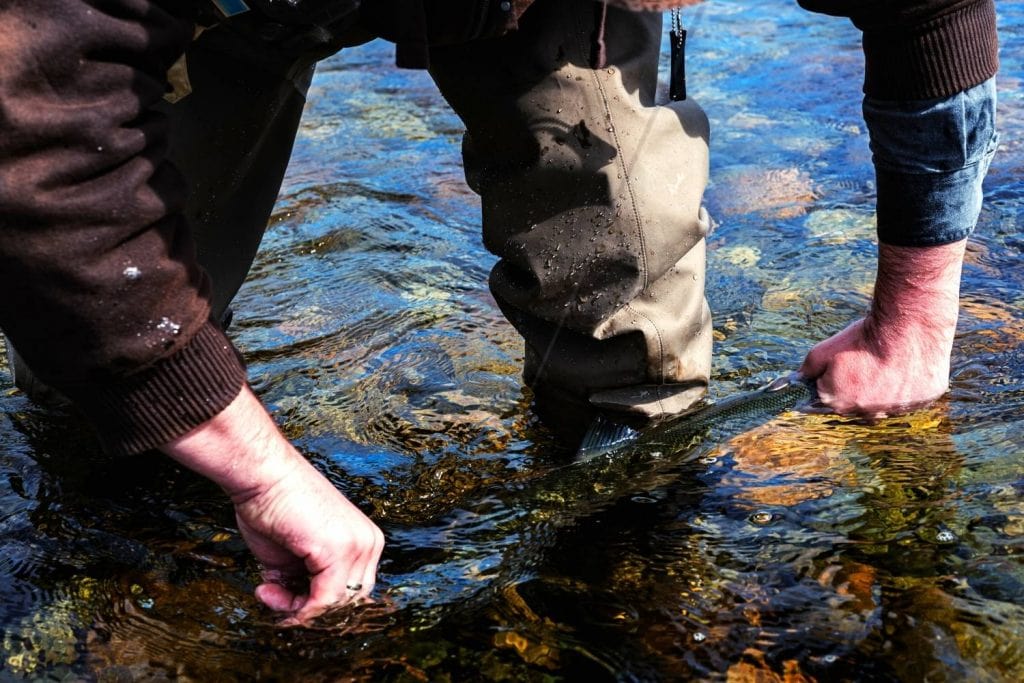 How to hook and land a salmon