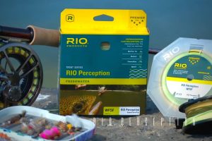 Rio Perception Fly Line Review