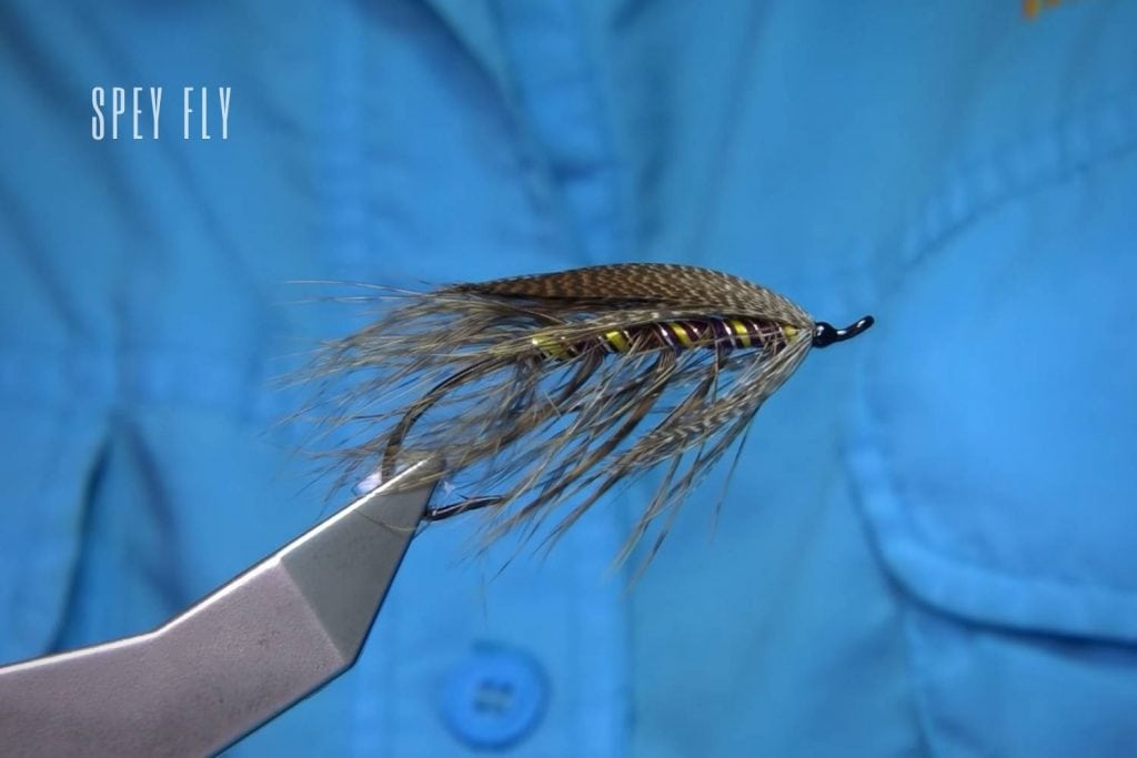 Spey Fly