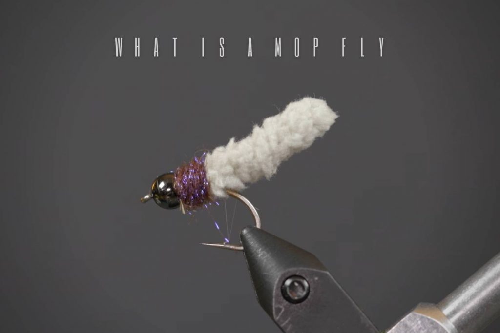 What Is A Mop Fly And How To Fly Fish With It?