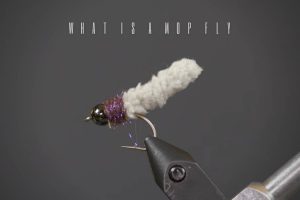What Is A Mop Fly And How To Fly Fish With It?