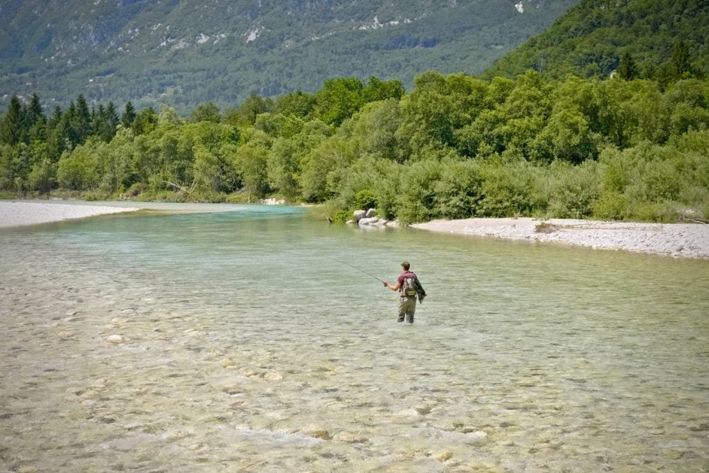 What fish can you catch with a mop fly?