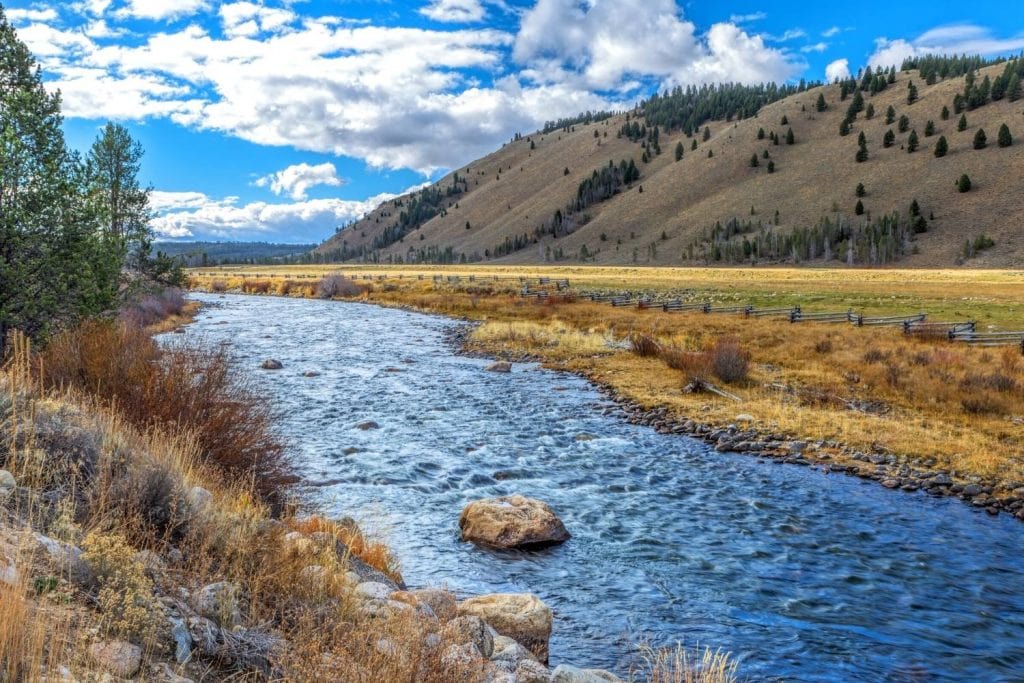 Where is the best place to go on a salmon fishing trip