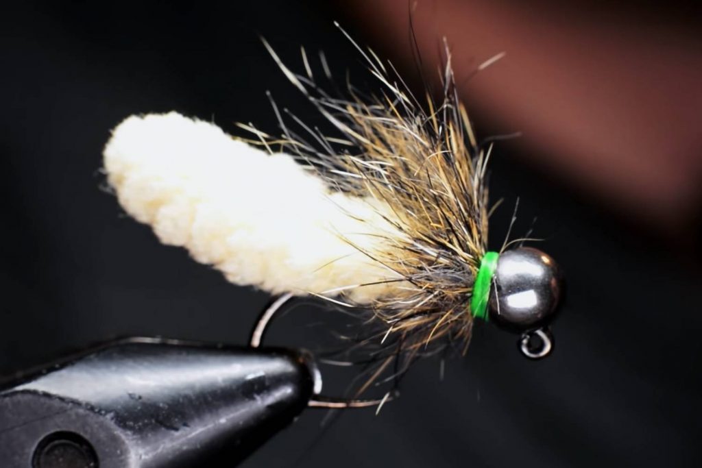 Why is the mop fly controversial?