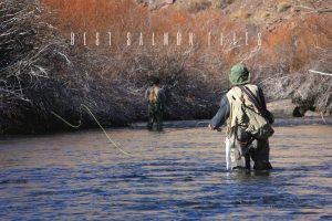 best salmon flies