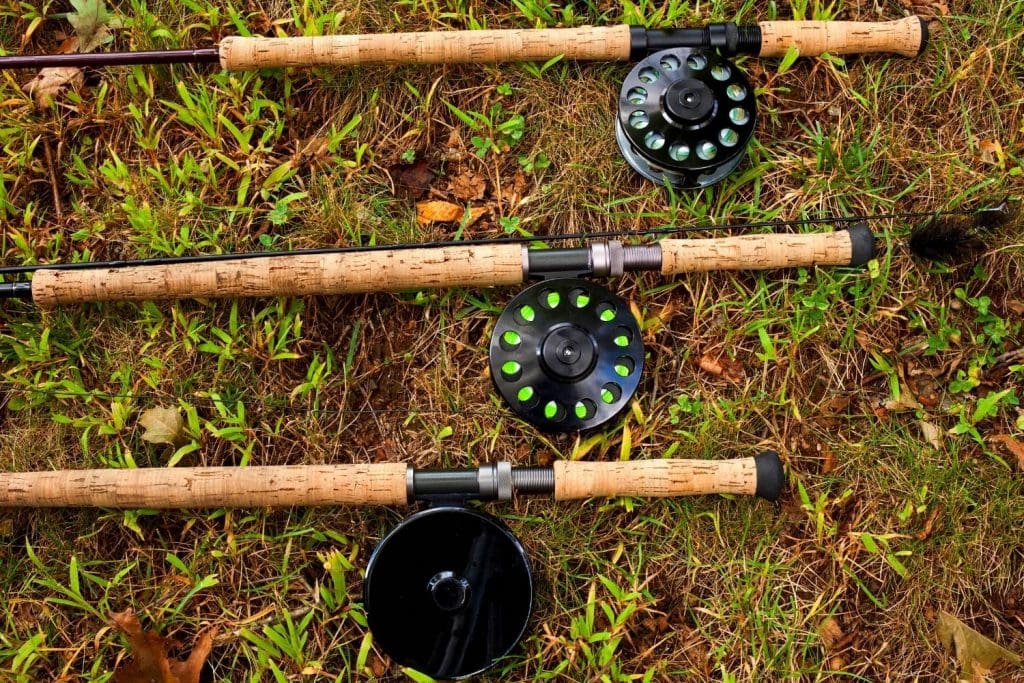 reels