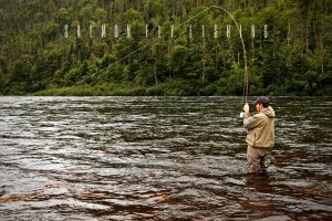 salmon fly fishing