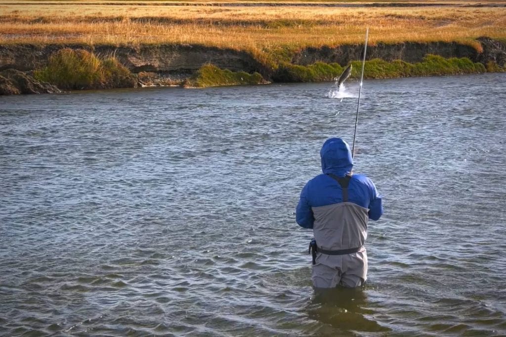 Types Of Fly Fishing