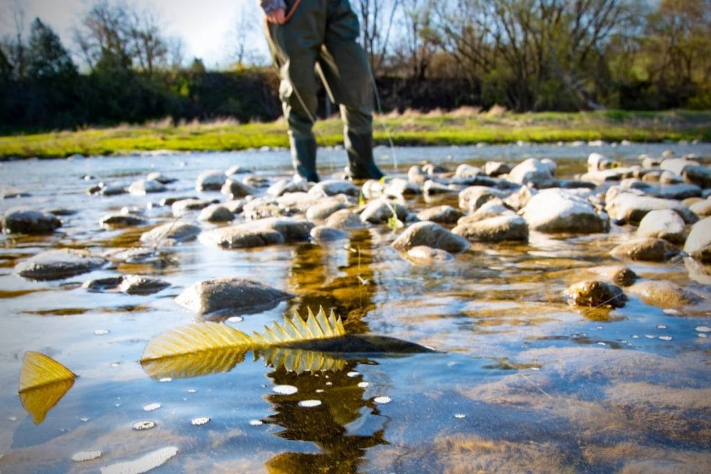 Where to target smallmouth bass