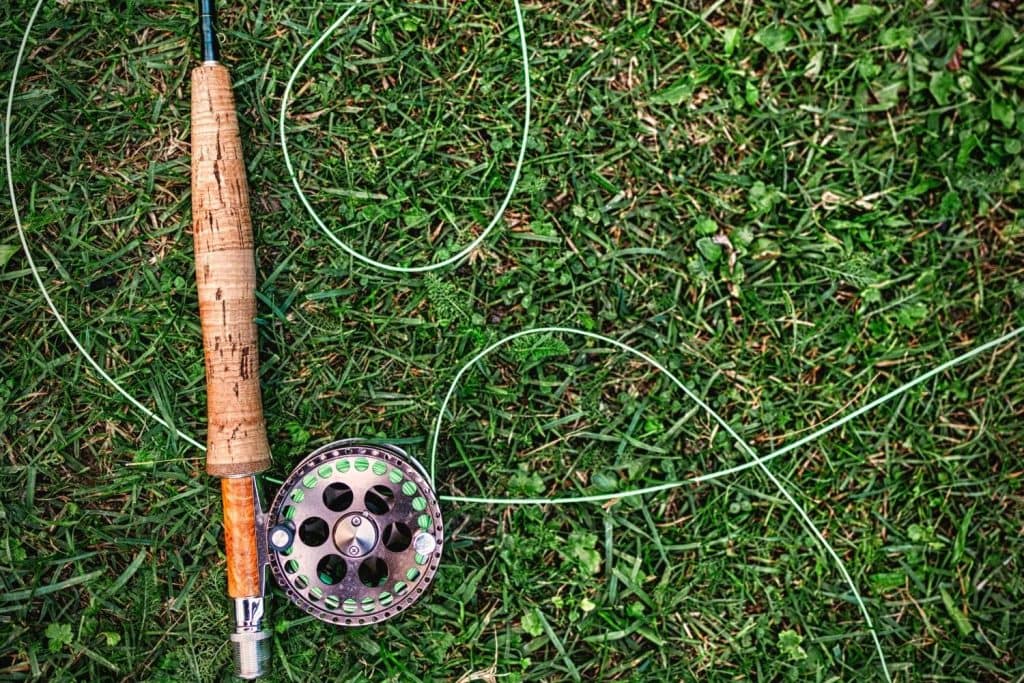 World record largemouth bass on a fly rod