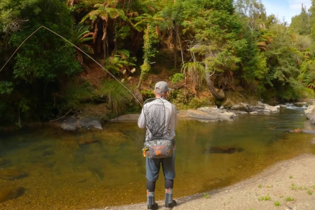 trout