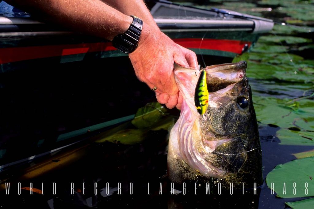 world record largemouth bass