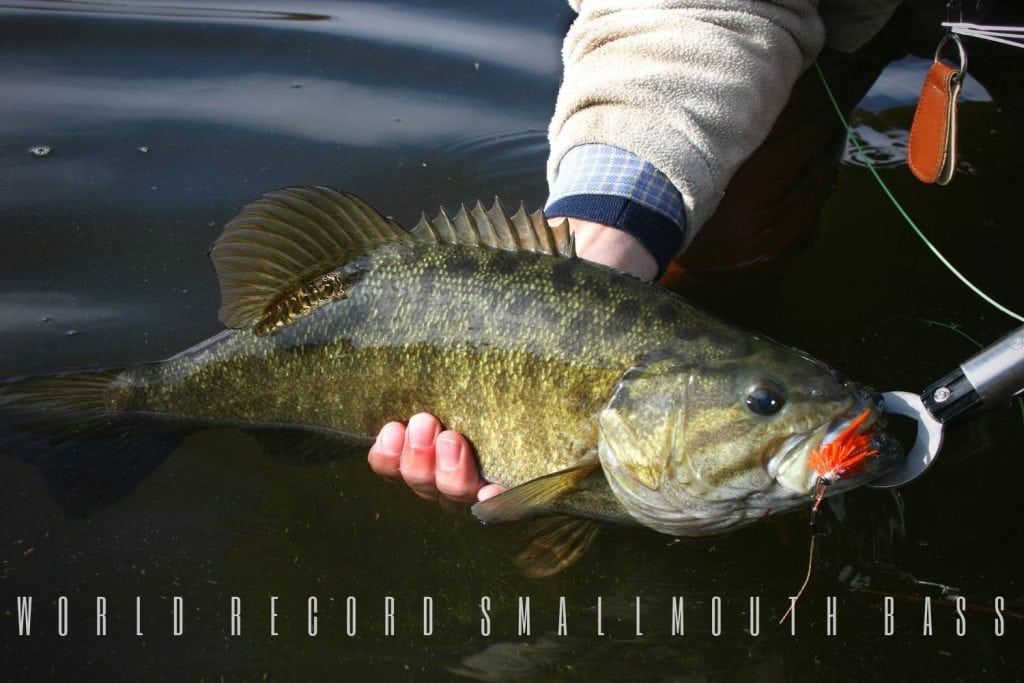 world record smallmouth bass