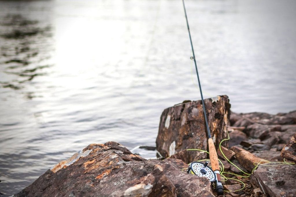 world record smallmouth bass on a fly rod