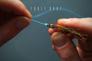 Turle Knot