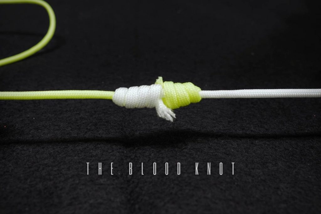 the blood knot
