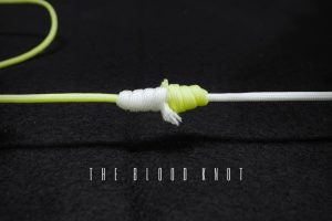 the blood knot