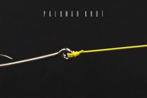 the palomar knot