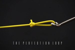 the Perfection Loop