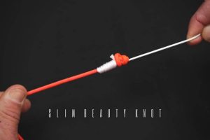 the slim beauty knot