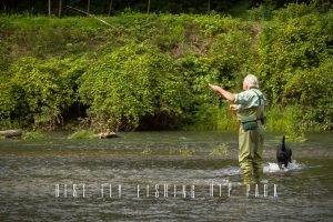 Best Fly Fishing Hip Packs