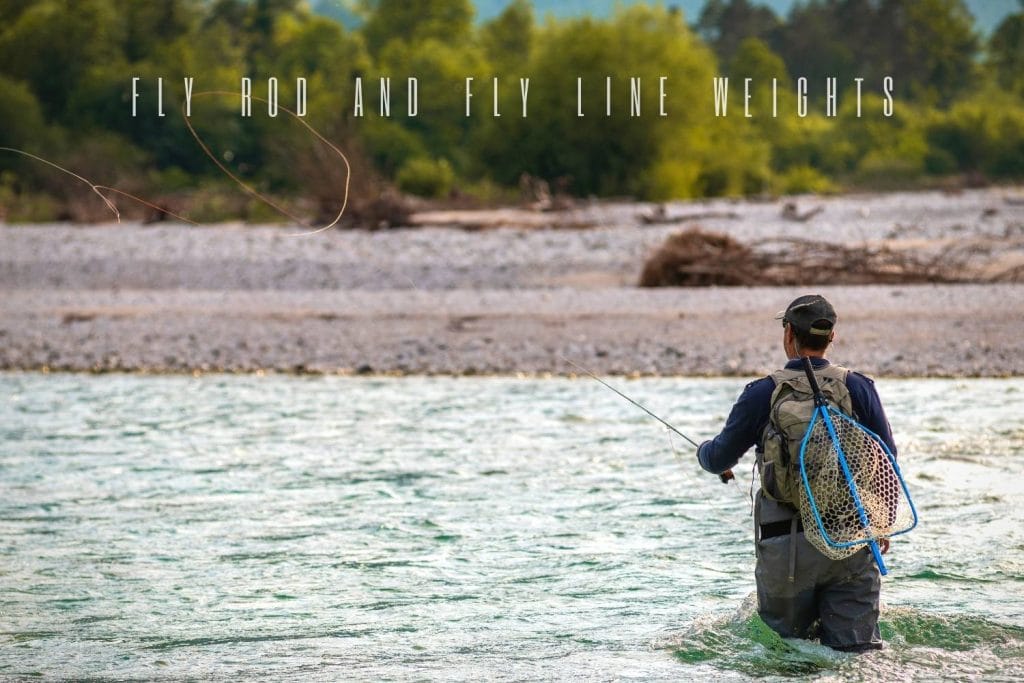 Fly Rod and Line Weights Explained