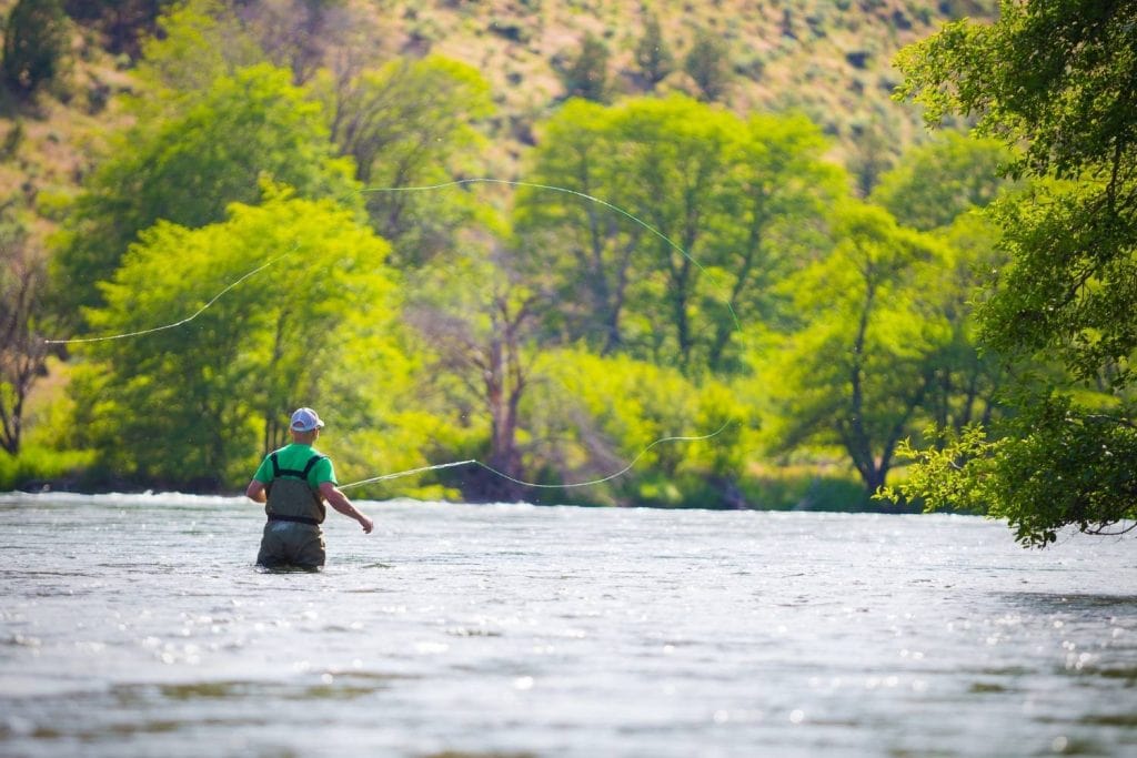 How do you pick the right fly rod weight for the species you want to catch