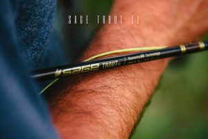 Sage Trout LL Review