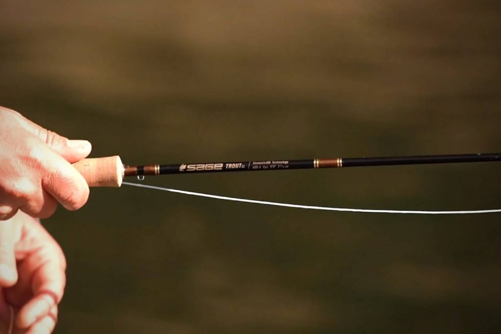 The Sage Trout LL Fly Rod
