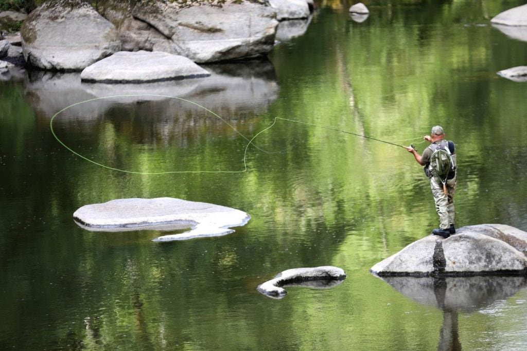 What species should you use click and pawl fly reels for