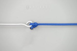 davy knot
