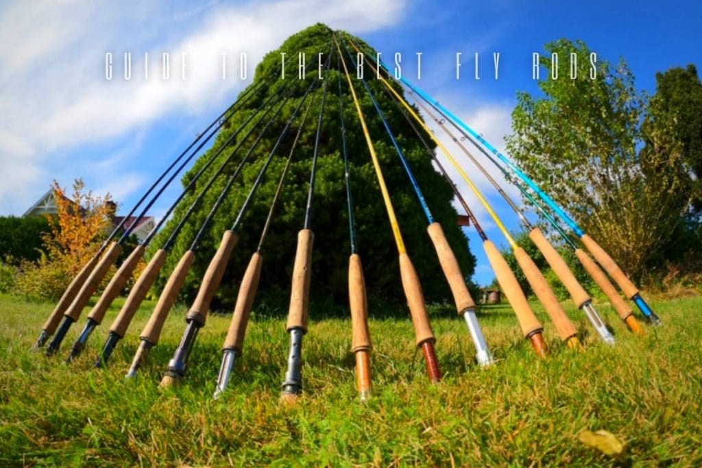guide to the best fly rods