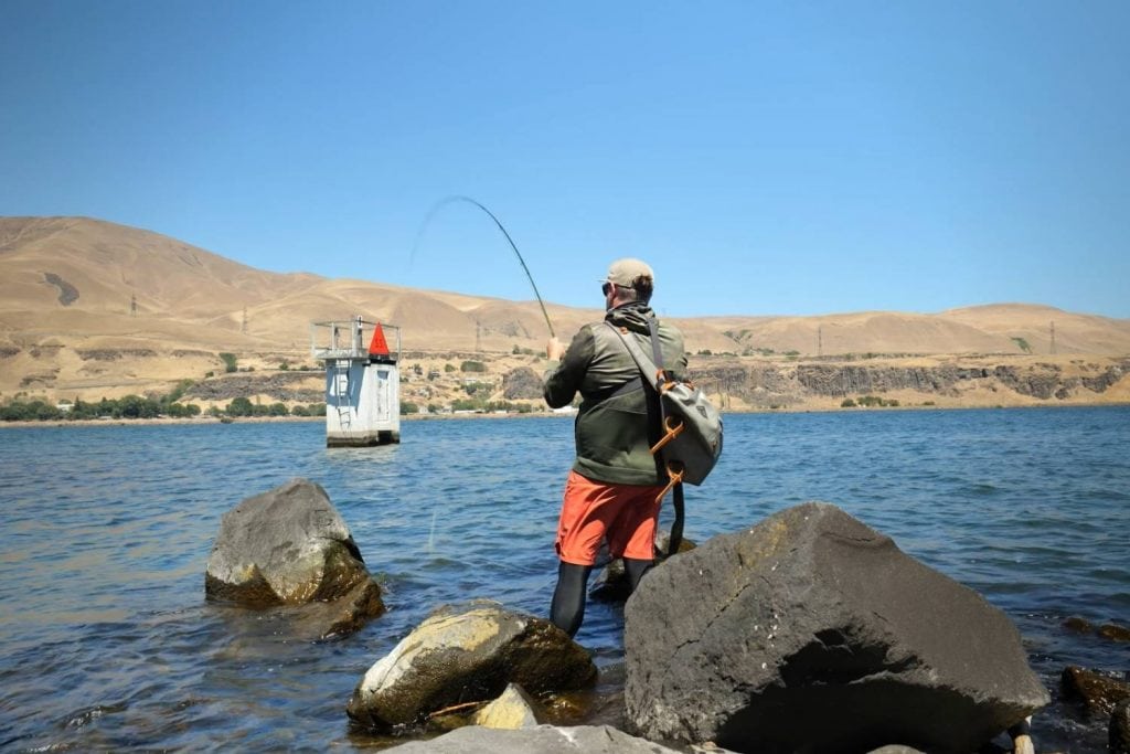 Tactics For Fly Fishing For Carp