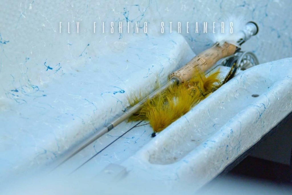 fly fishing streamers