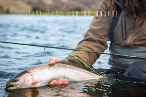 Best Fly Fishing Brands