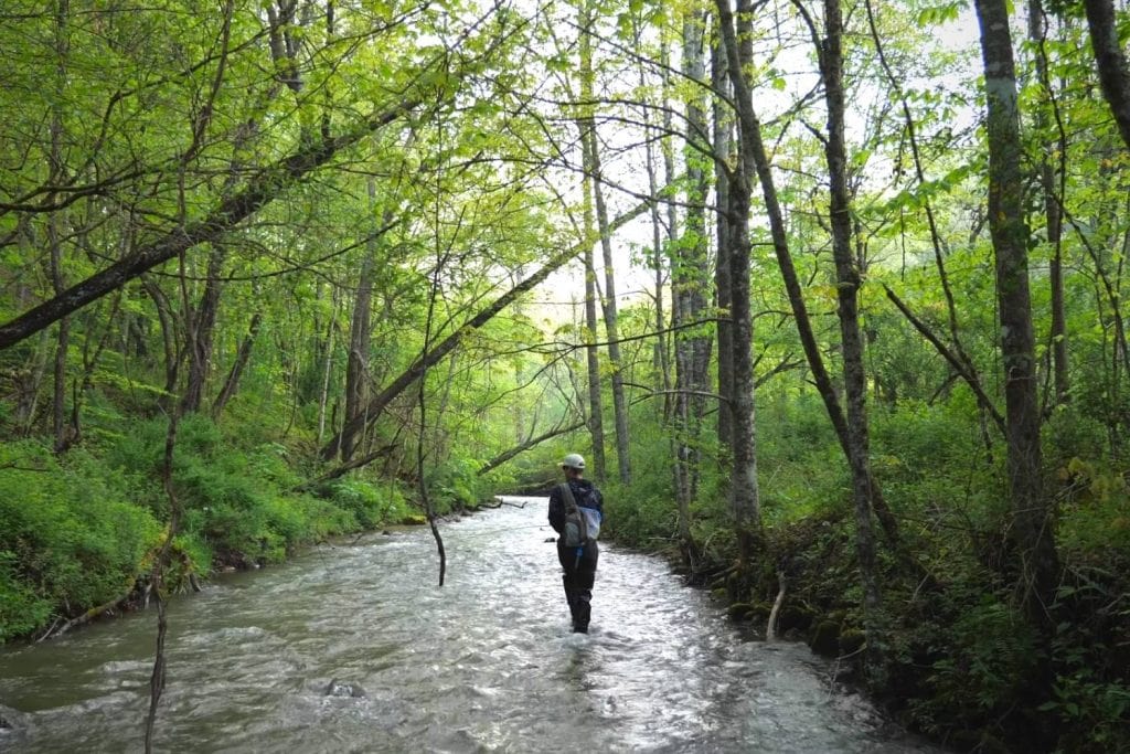 Best way to approach your waters