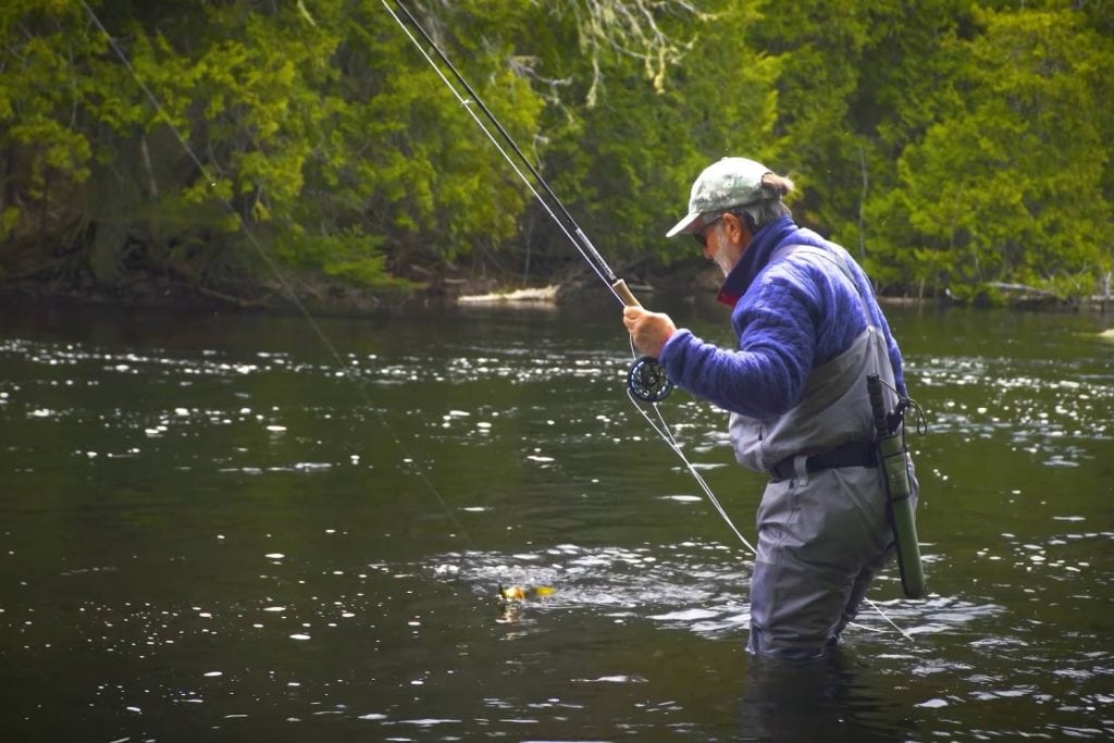 bass winter fly fishing
