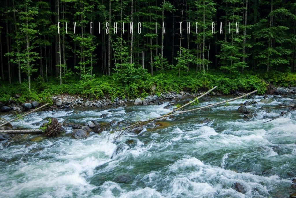 fly fishing in the rain