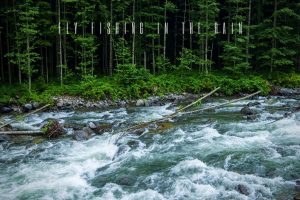 fly fishing in the rain