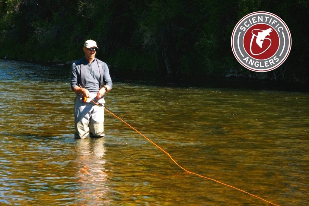 Scientific Anglers