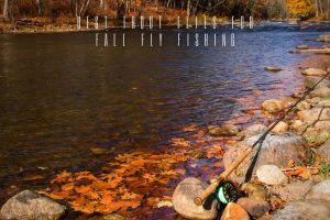 Best Fall Trout Flies