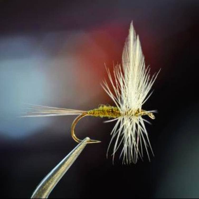 Catskill Blue Winged Olive